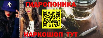 скорость Бийск