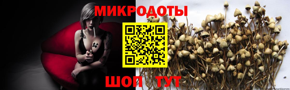 Псилоцибиновые грибы GOLDEN TEACHER  Вход с VPN  Камень-на-Оби 